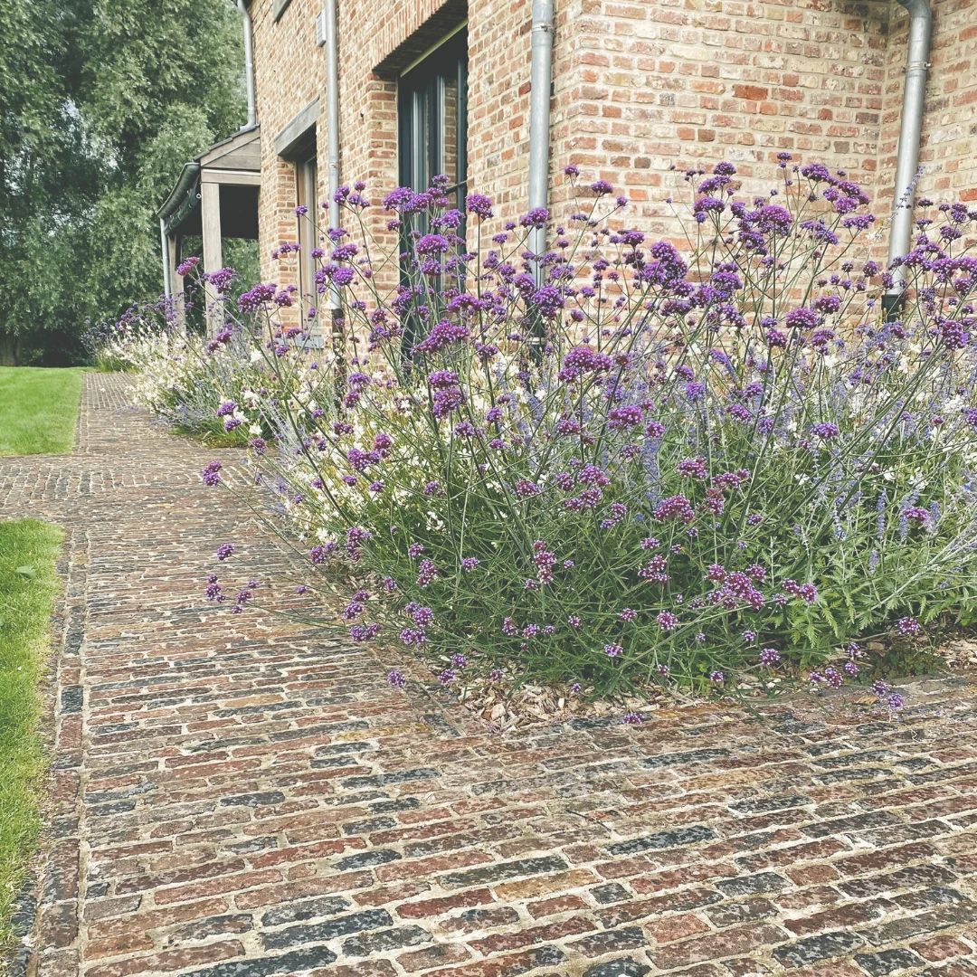 2450-cortenstaal-12-17818114505313.png