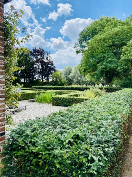 967-onderhoud-15-16757585315557.jpg