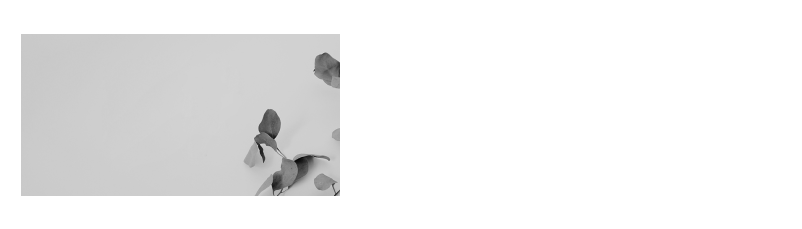 Referral Program providing rewards for successful referrals