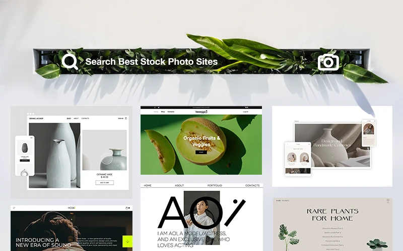 20 Best Stock Photo Sites for Web Design and Marketing