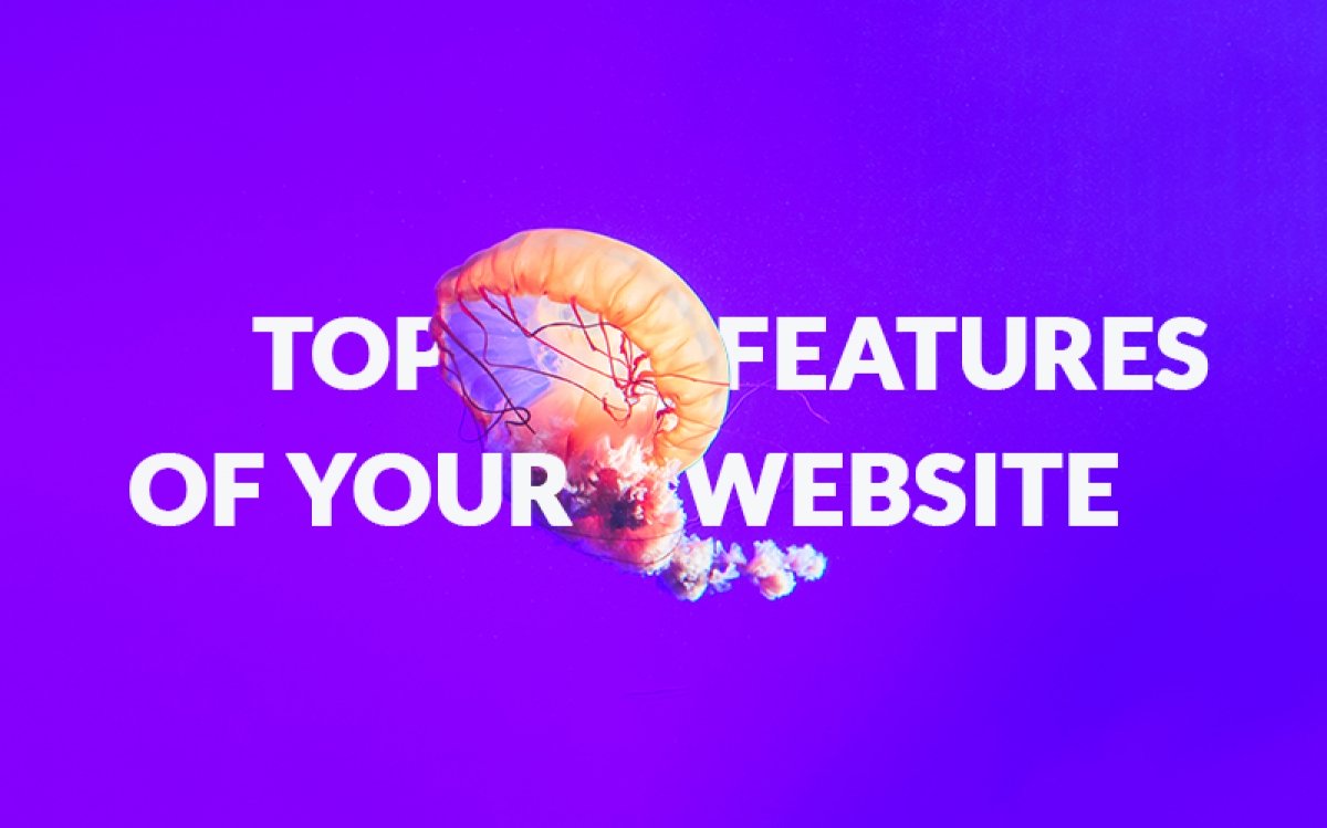 Top features of your small business website: Are you missing out on something?