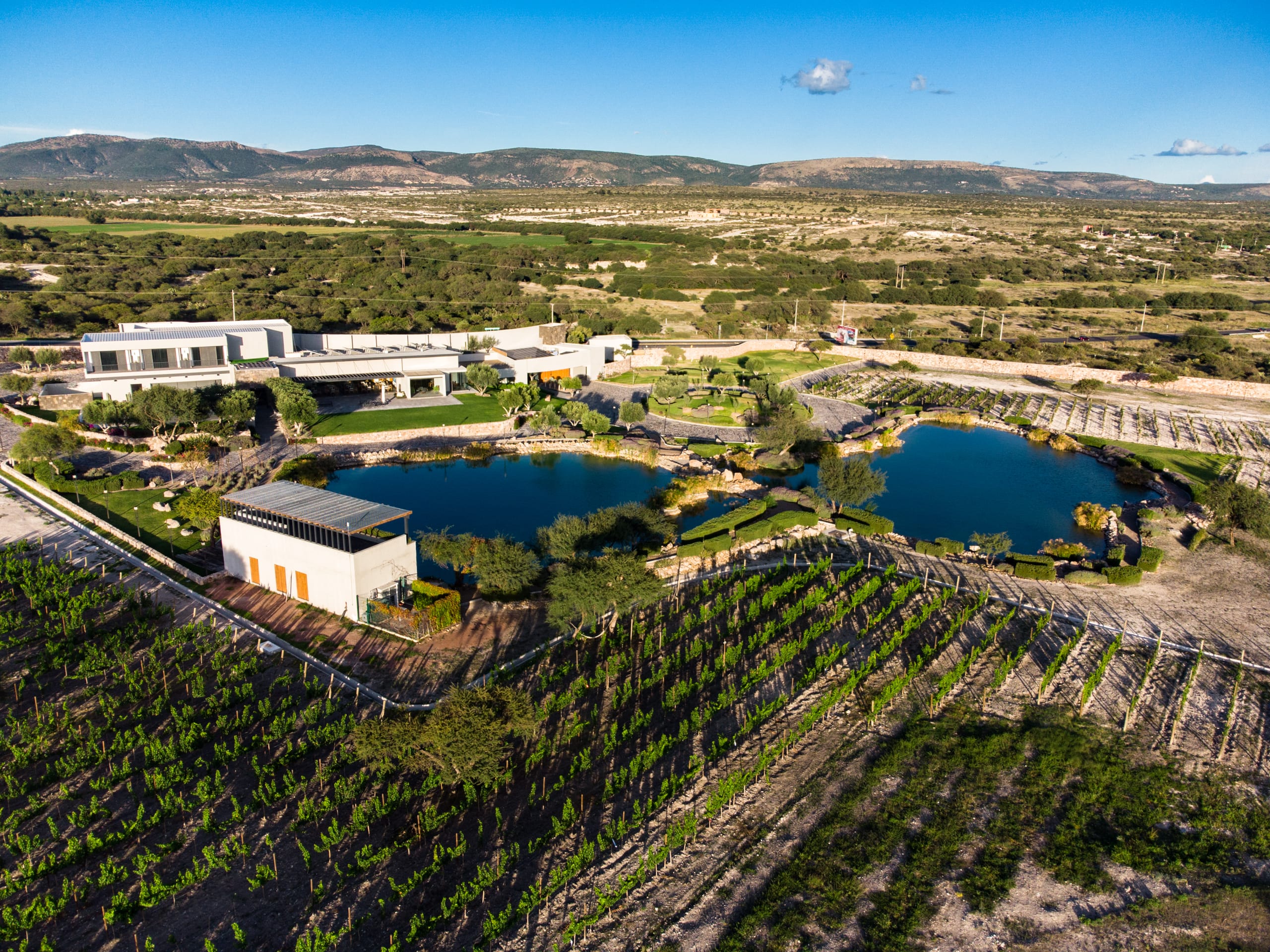 356-dji-vdc-33-min.jpg