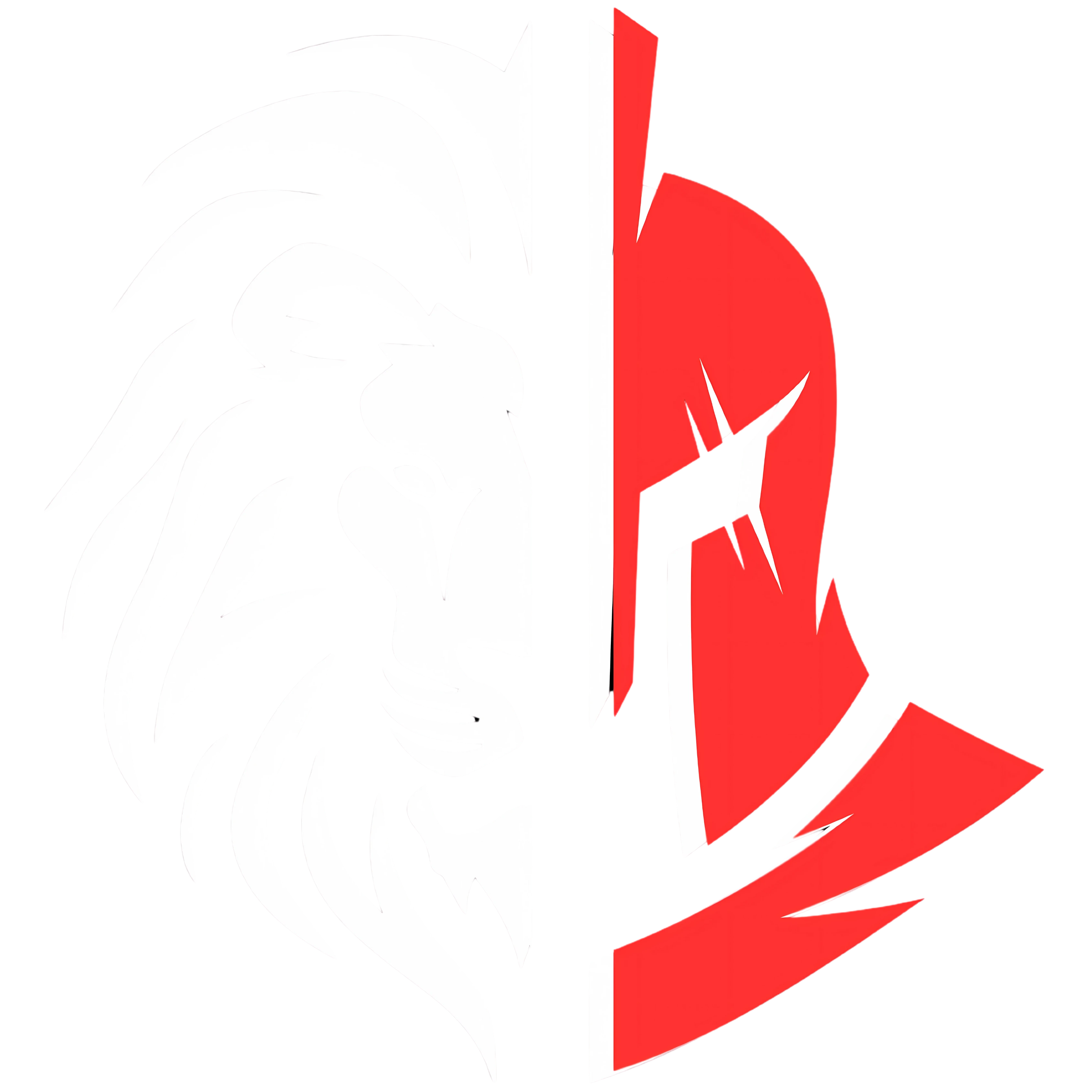 338-logo-virtusfit-versione-3---transparente-17465154439868.png