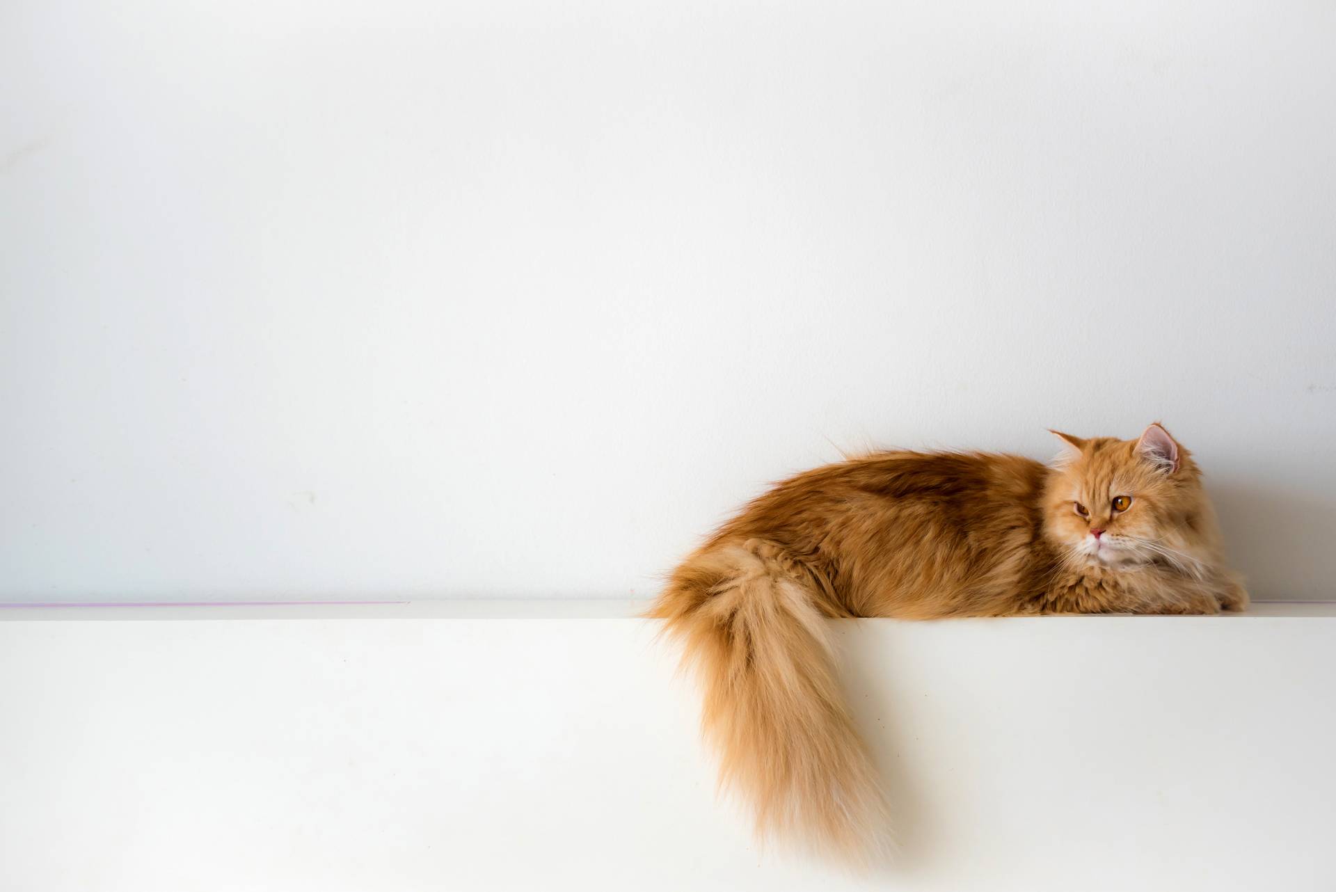 86-25-r902-shutterstock370455275-0.jpg