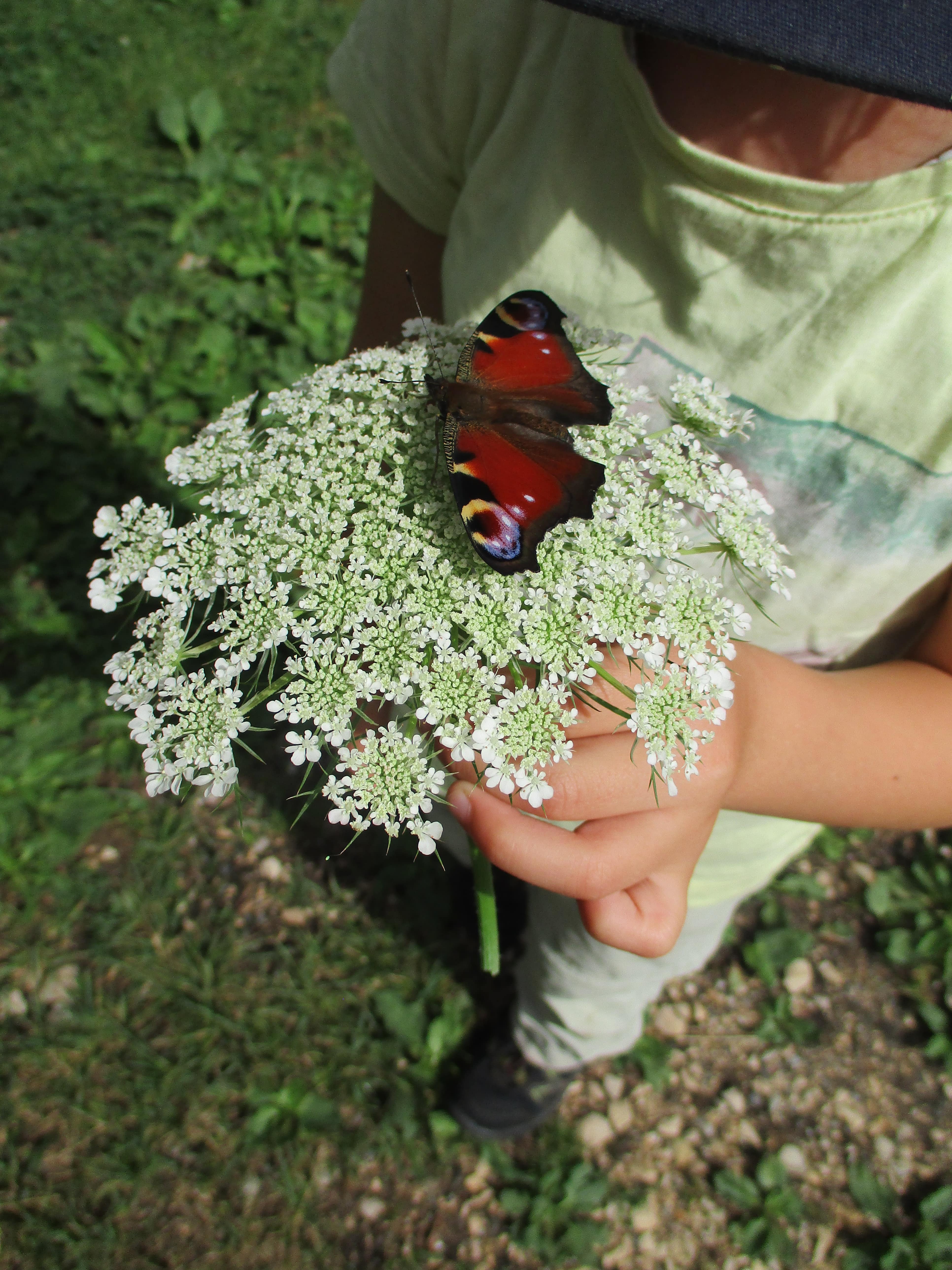 161-img0786-minjpg-17454878135982.jpg