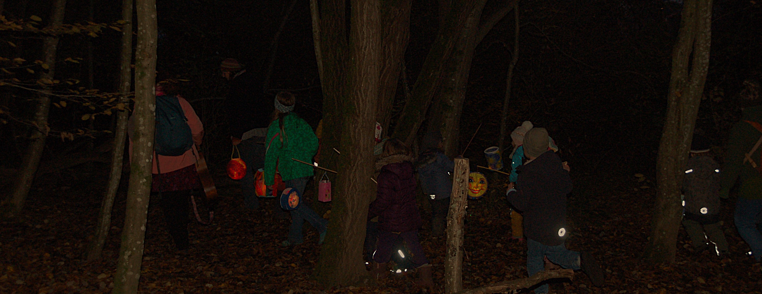 Im Wald da leuchtet es