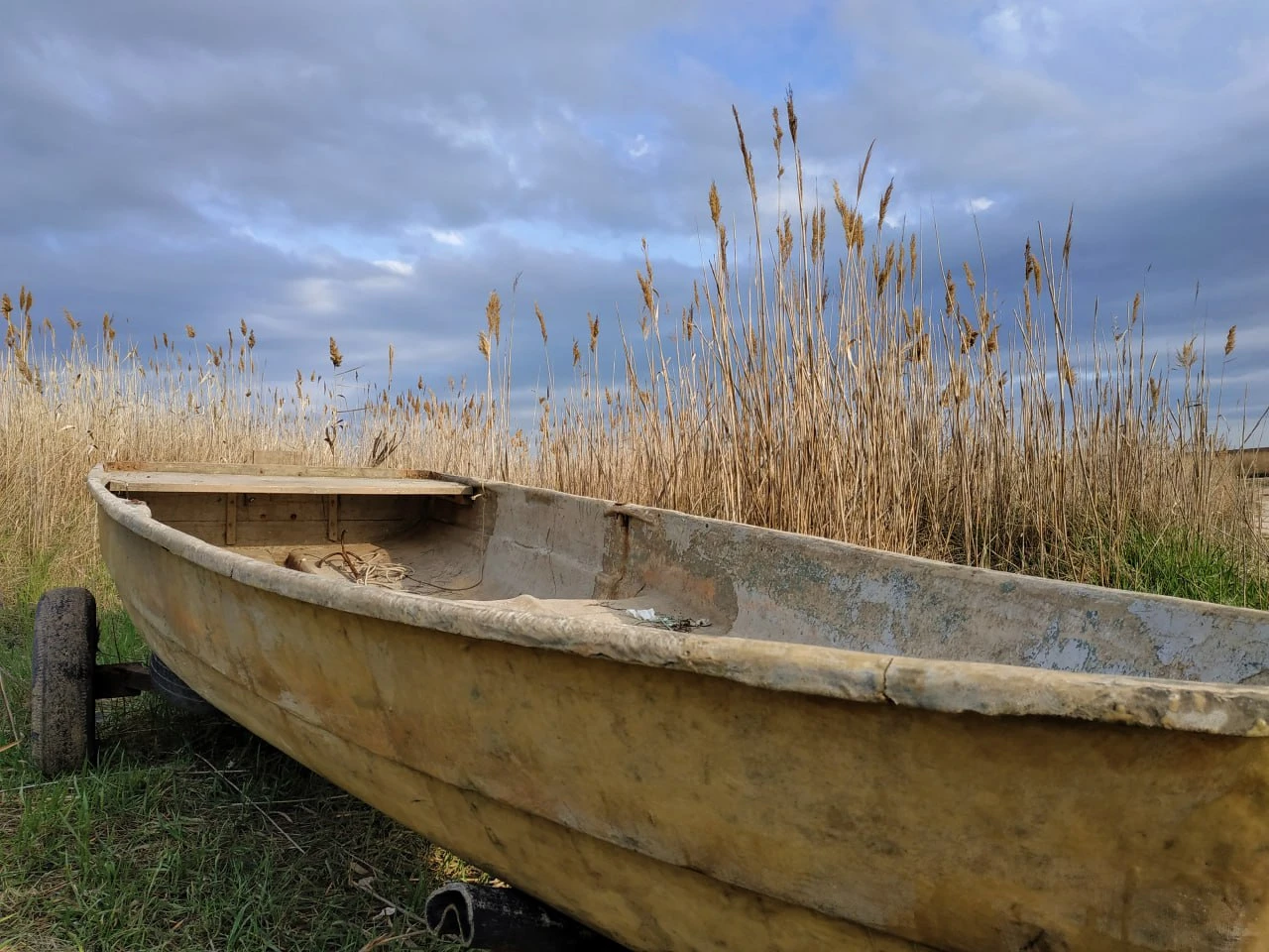 Азовське море, Бердянськ