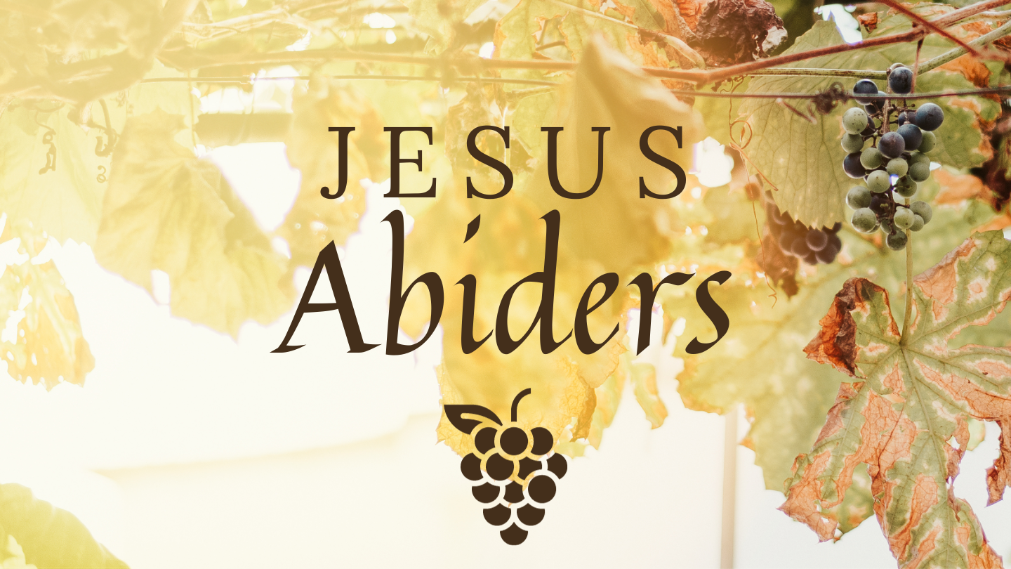 1612-jesus-abider-17060322395807.png