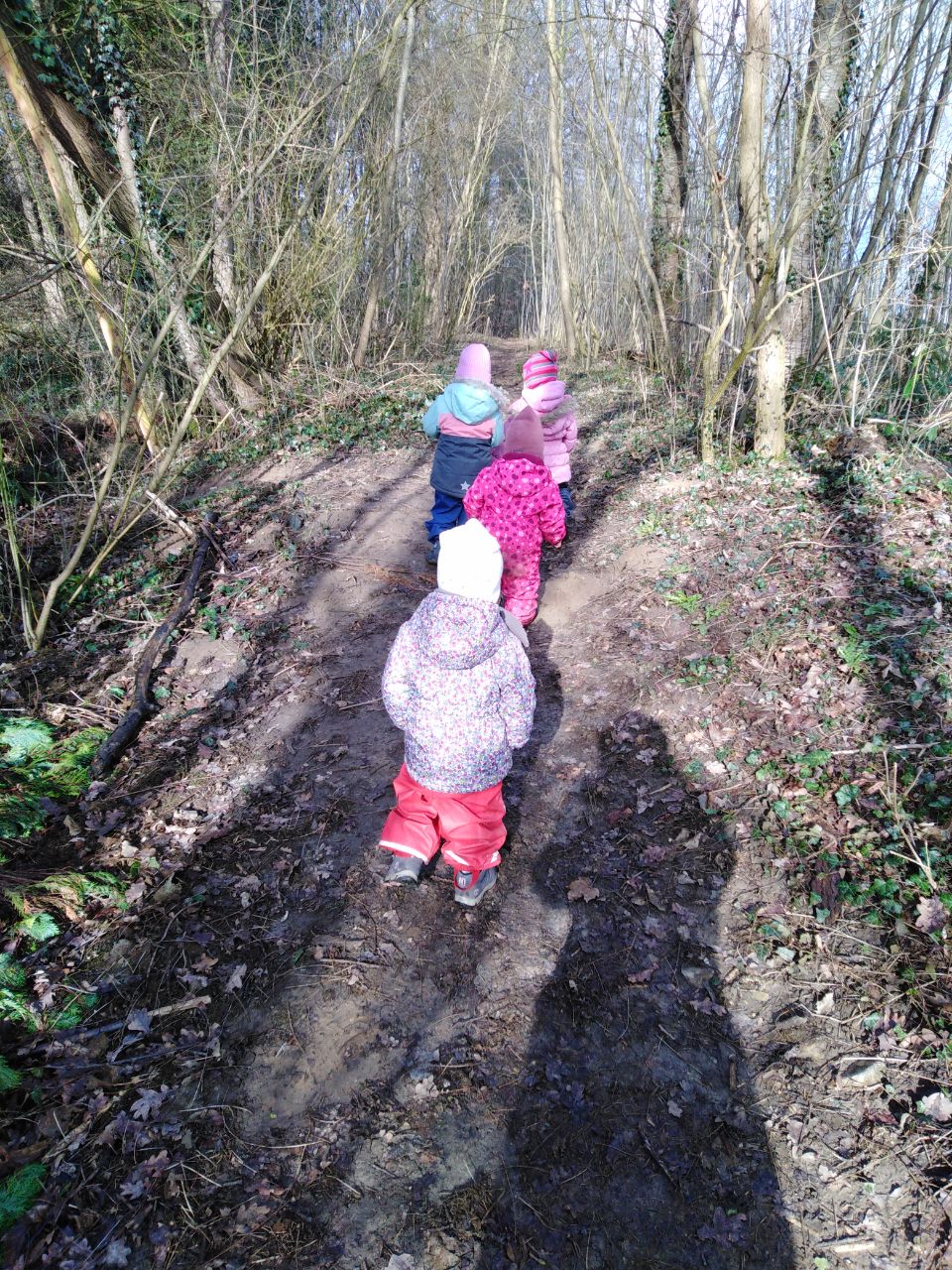 81-photo2023-11-1518-11-18-1700072723627.jpg