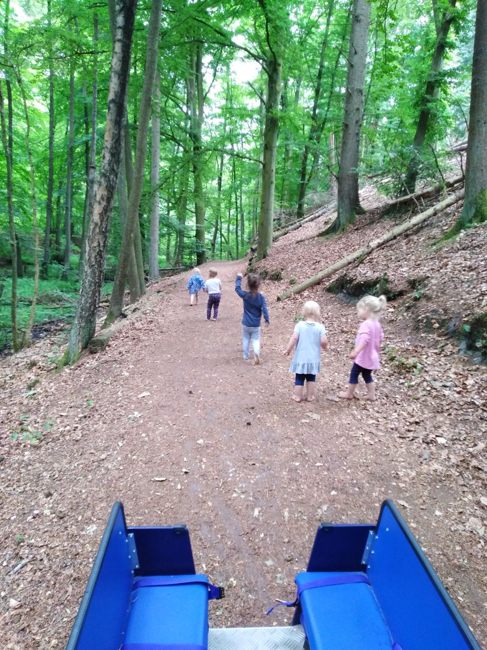 81-photo2023-11-1519-23-59-17000727214542.jpg