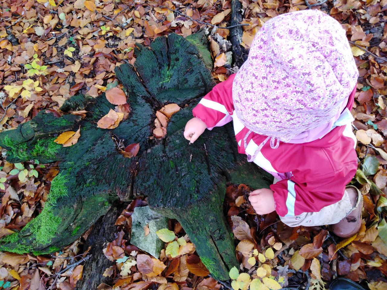 81-photo2023-11-1710-39-17-1700493744491.jpg