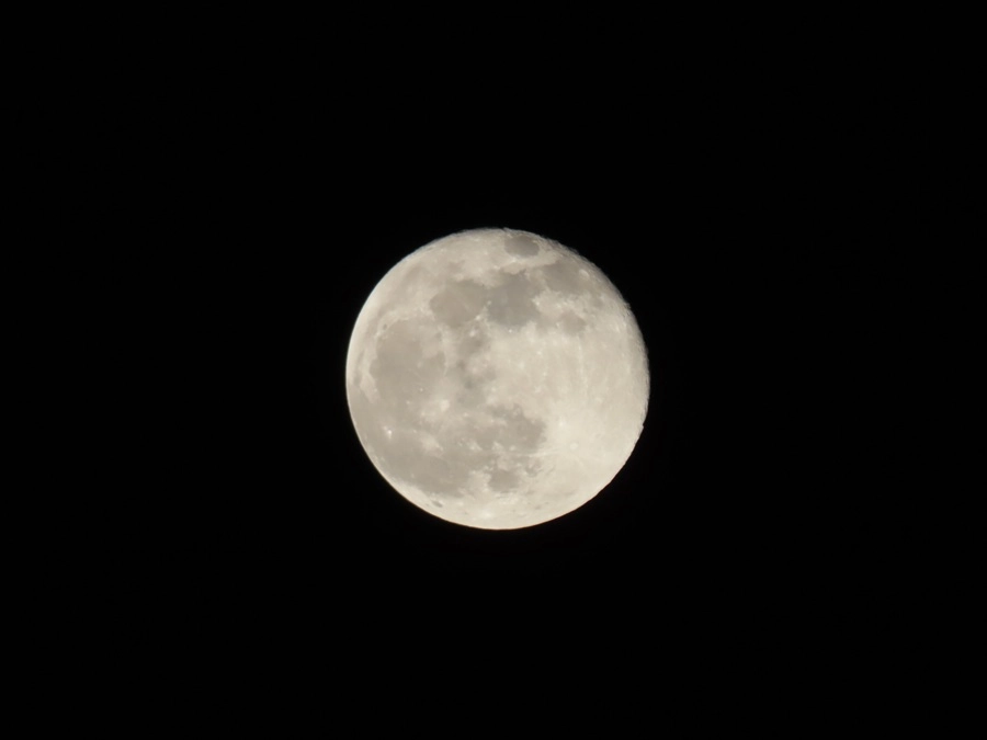 11403-img0377-1-17458263970352.jpg