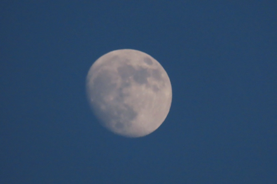 11405-img0324-1-17458264205436.jpg