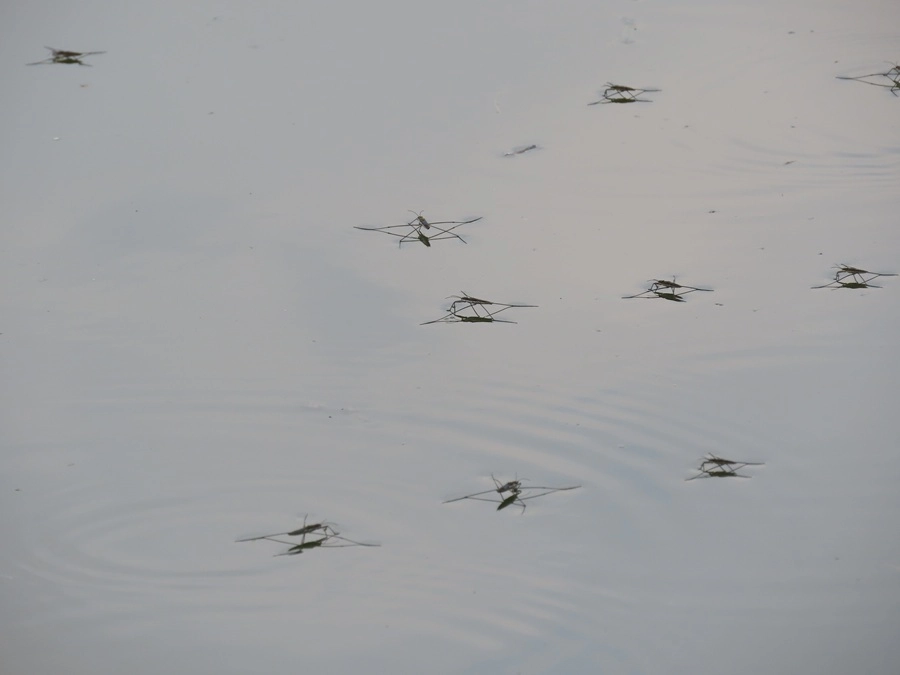12019-img0182-1-1745515932304.jpg