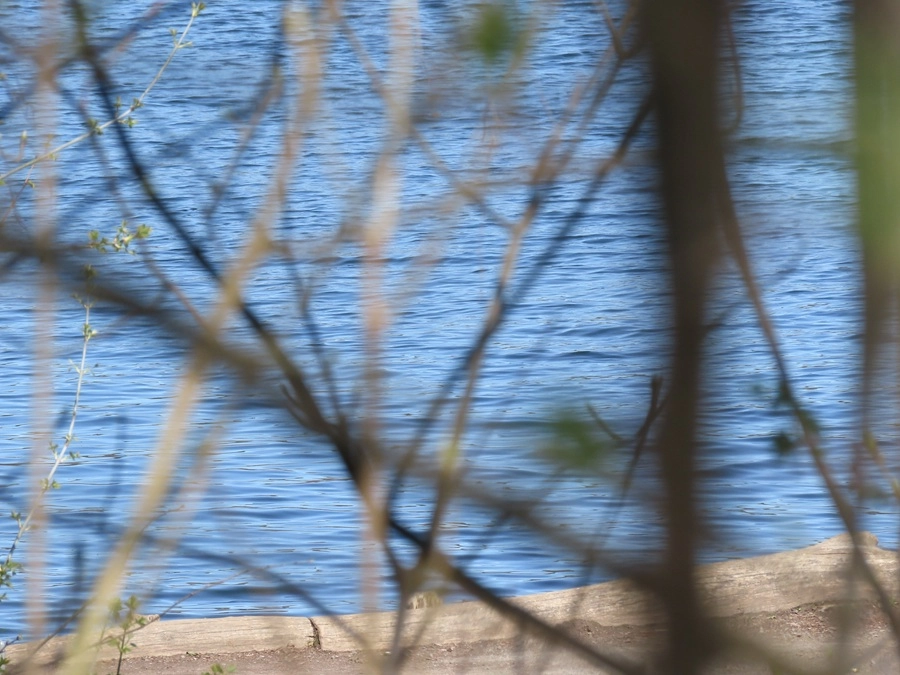 12295-img0224-1-17457566906143.jpg