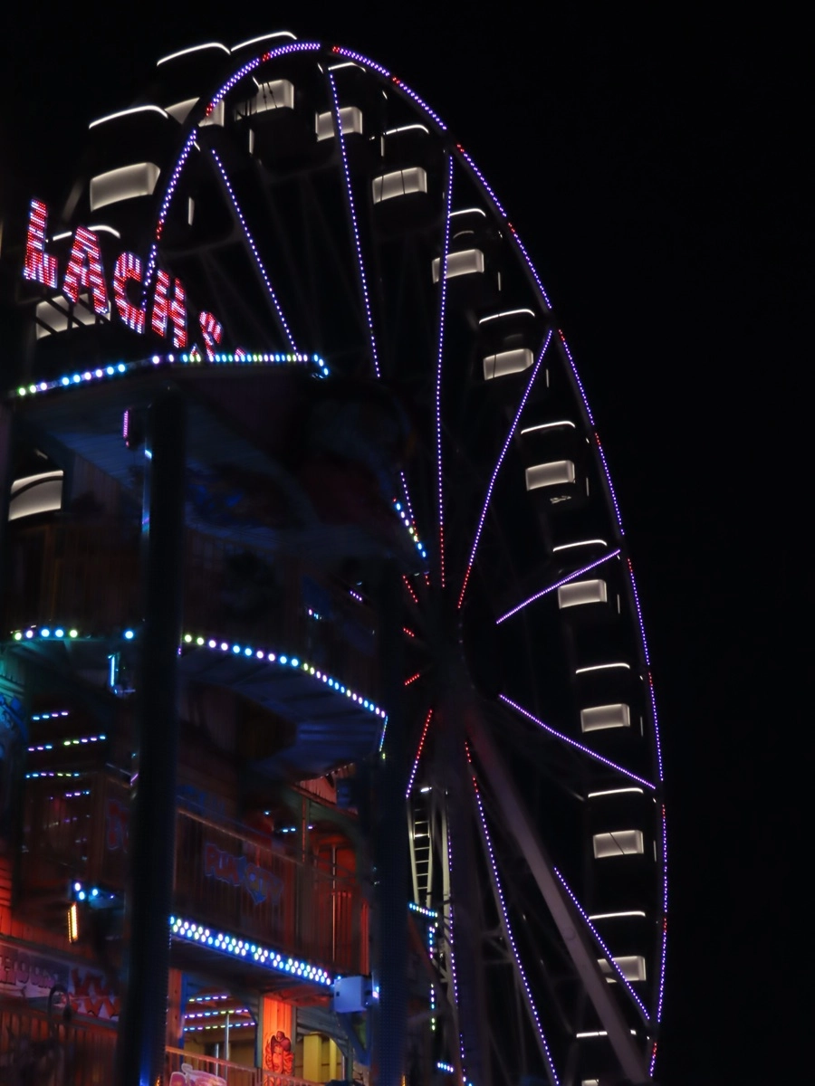 12463-img0314-1-17457652987113.jpg