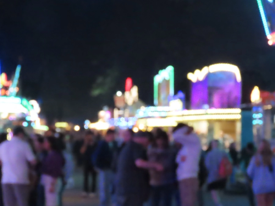 12467-img0317-1-17457654154132.jpg