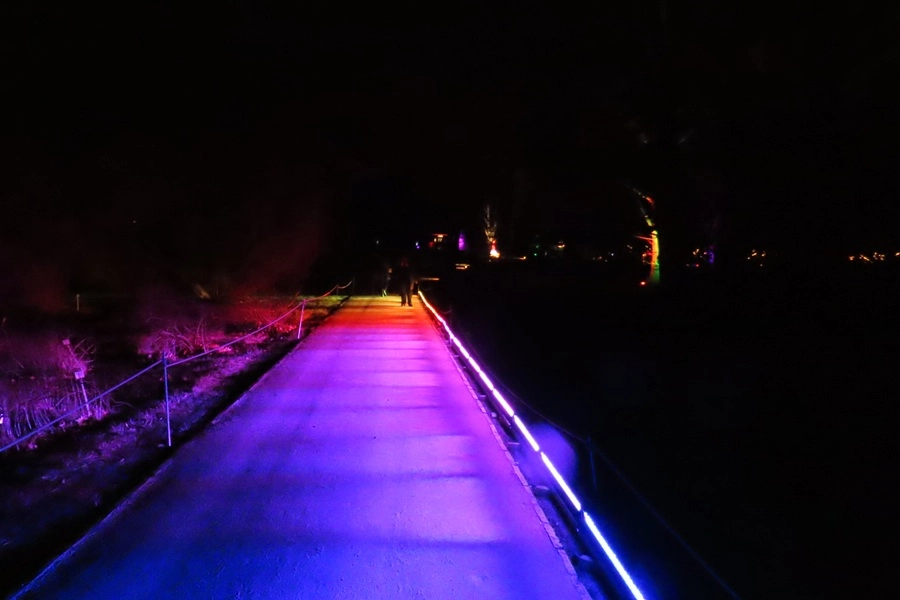 12475-img0342-1-17457654807382.jpg