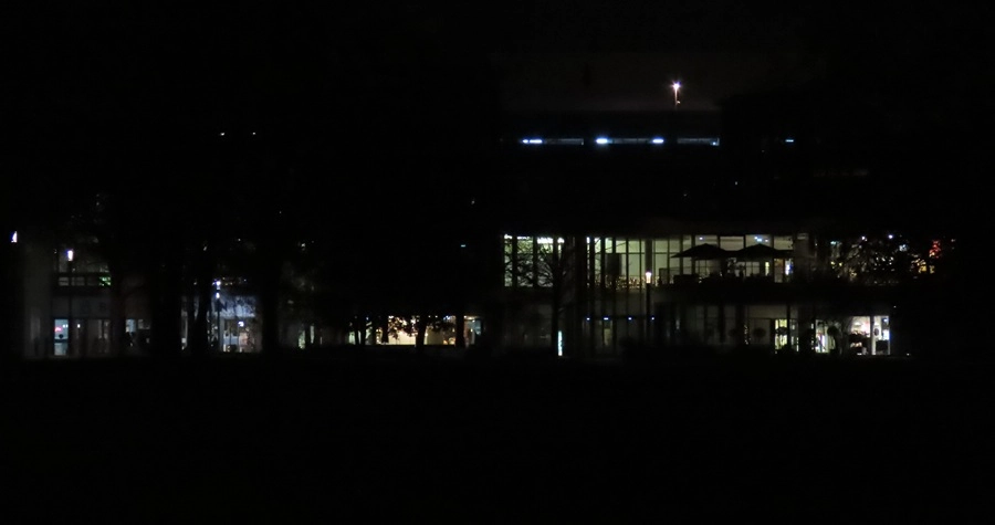 12593-img0200-1-17457642988204.jpg
