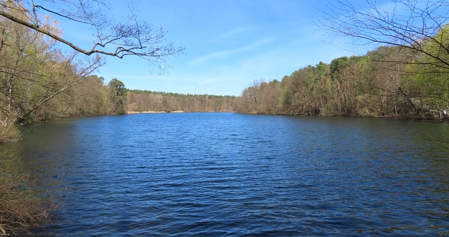 12635-img0350-1-17457705386325.jpg