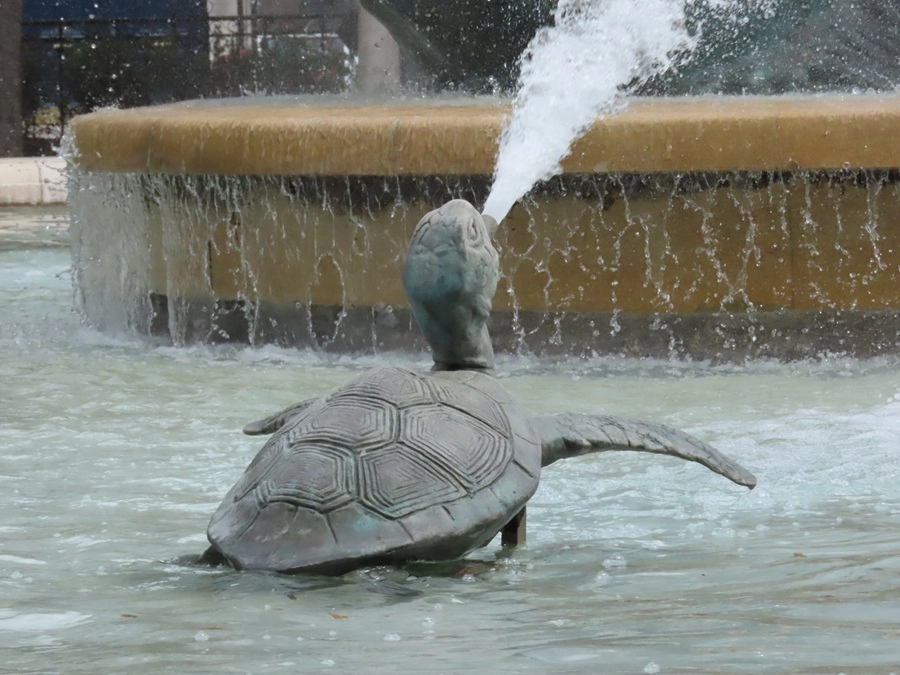 12695-img0353-1-17457900386396.jpg