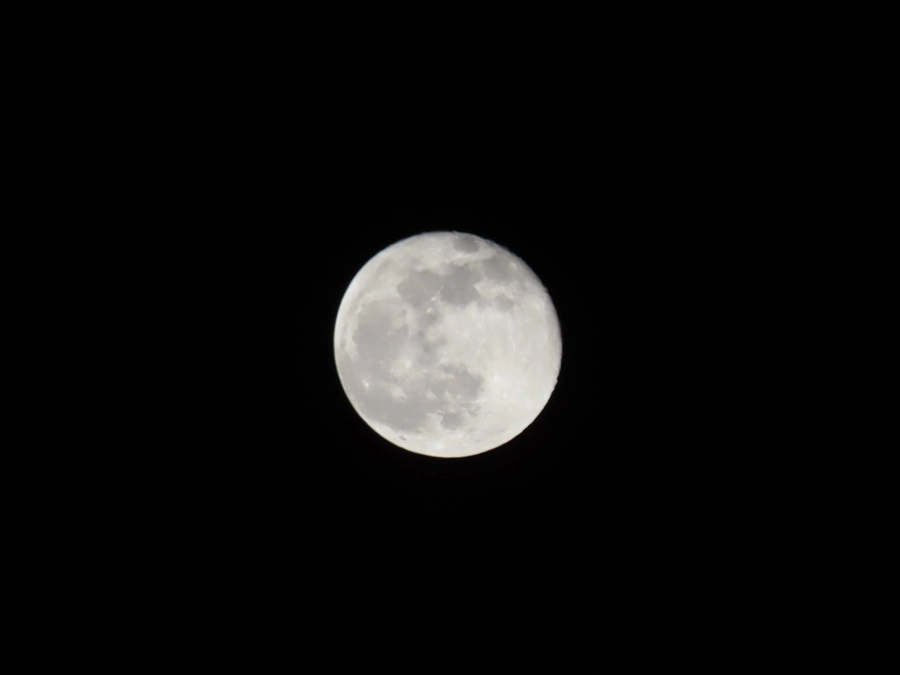 12777-img0378-1-174582681607.jpg