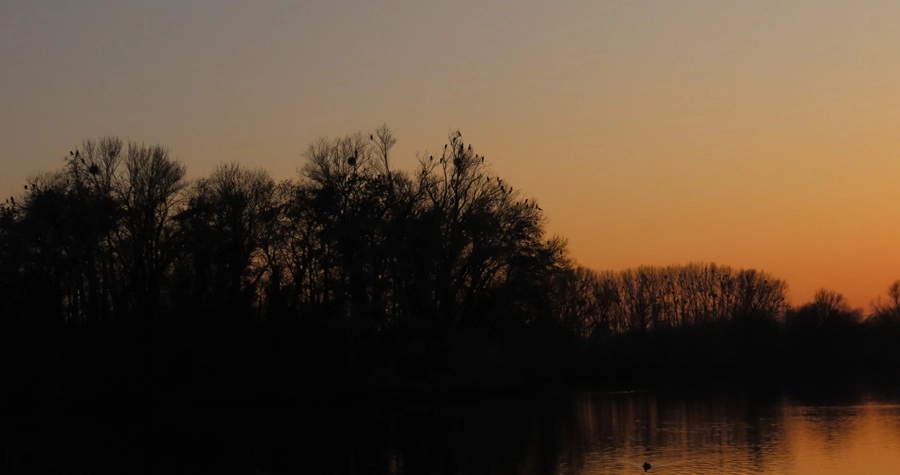 12799-img1765-1-17458271495926.jpg
