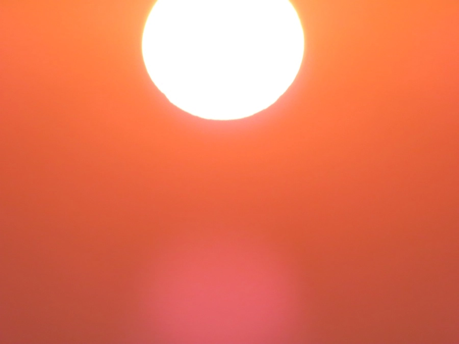 12821-img3668-1-17458274315981.jpg