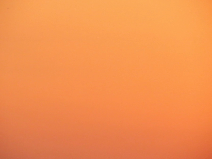 12823-img3679-1-17458274540833.jpg
