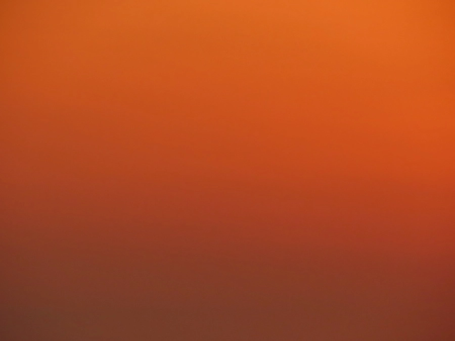 12825-img3680-1-17458274654157.jpg