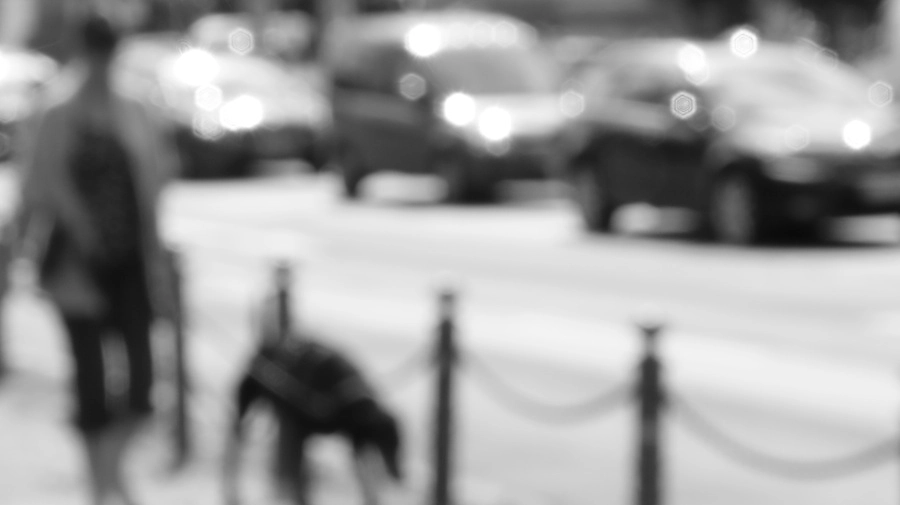 12883-img0020-1-17458388233422.jpg