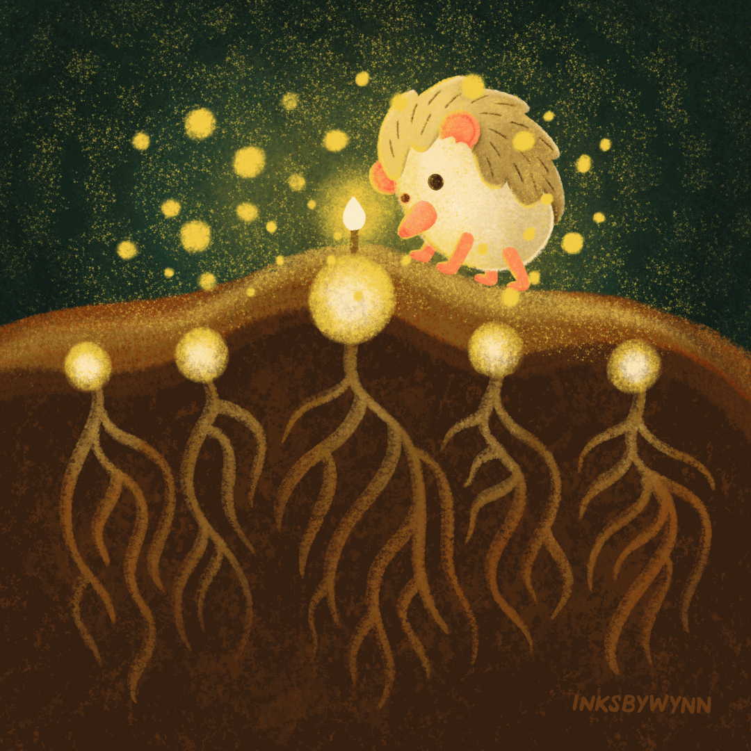 Dream Maker 1390-dreammaker.gif