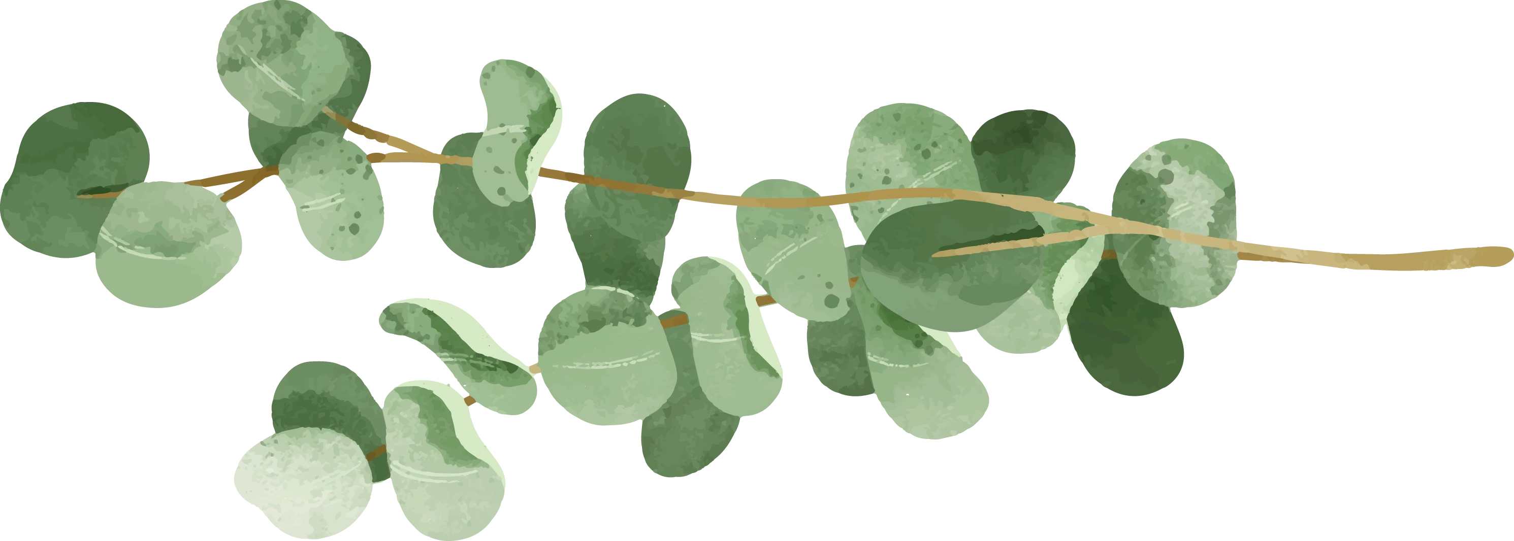 1945-website-02-17483306199437.png