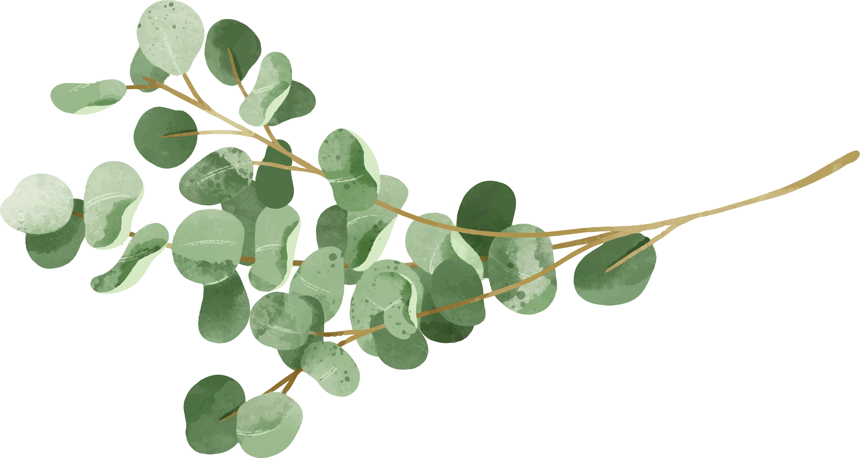 2196-website-03-17483311994997.png