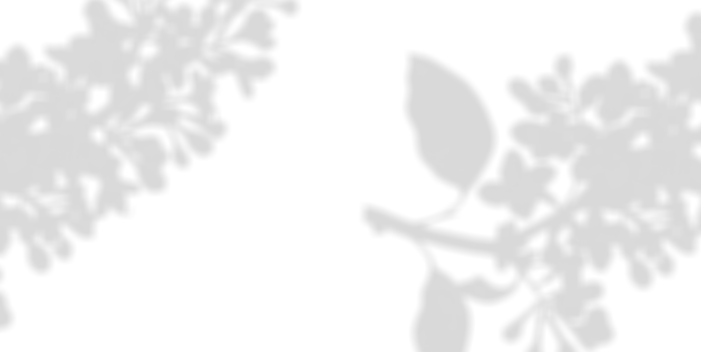 r263-cit-copy.jpg