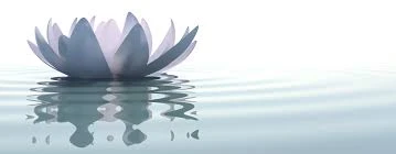 1831-lotus-on-water-17401600264887.jpg