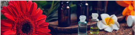Essential Things to Know About Essential Oils
