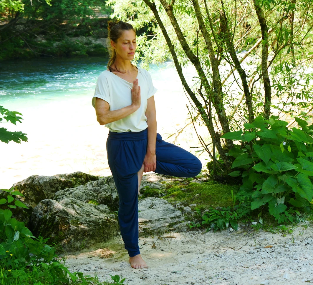 383-p1011730-vrkshasana-crop-s-1723741697724.jpeg