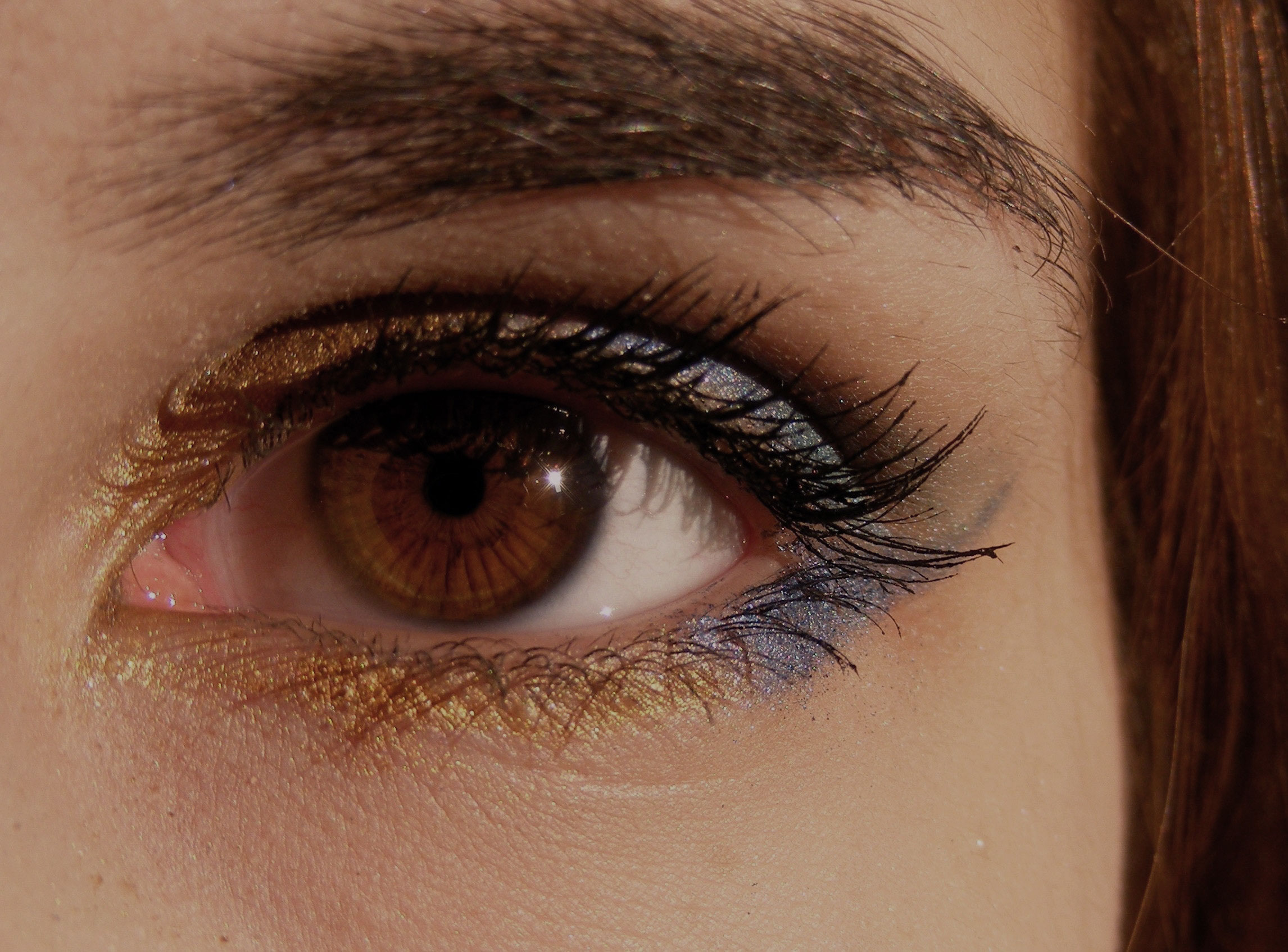 730-close-up-eye-eyebrow-46279.jpg