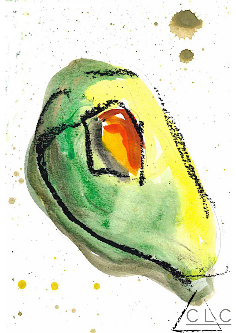 "Avocado" 110-120.png