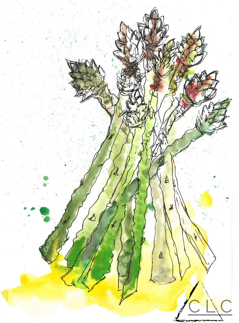 "Garden Bundle" - Donated 110-130-garden-bundle.png