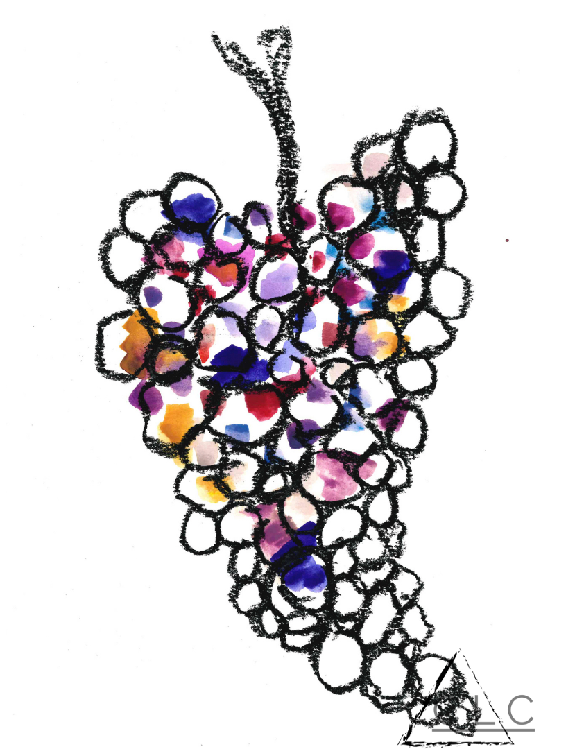 "Divine"  110-173-divine-16542138612589.png