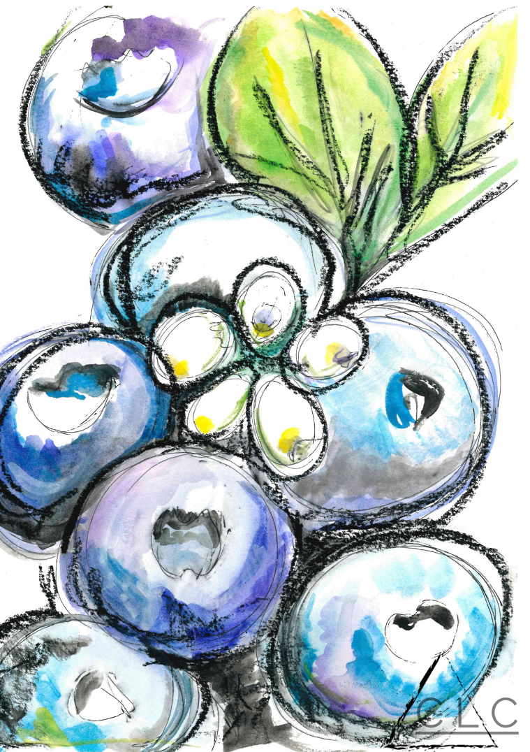 "Blueberry Pie" 110-88-blueberry-pie-16542144213886.png