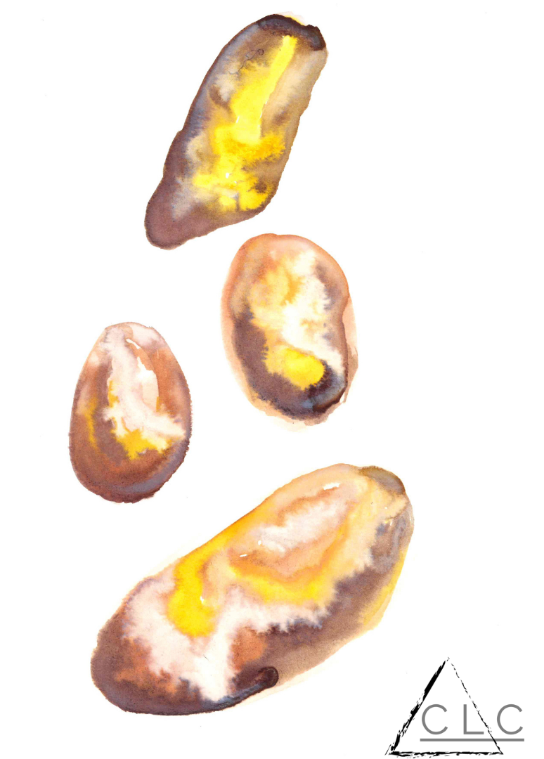 111-18-amber-stones.png