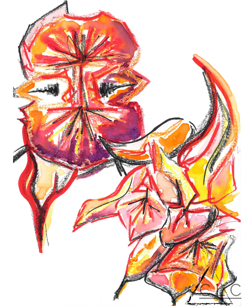 "Orchid in Red" 115-101-orchid-in-red.png