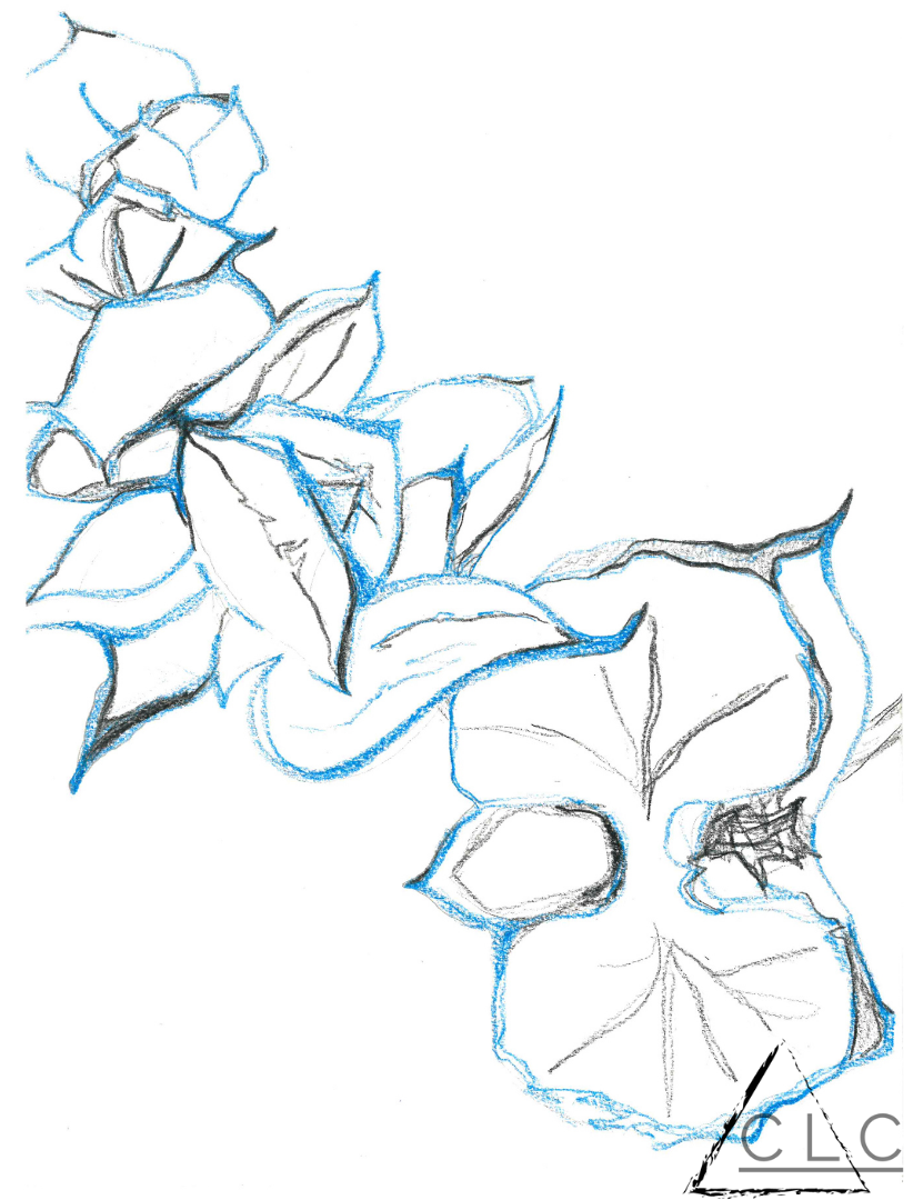 "Orchid Outline" 115-104-orchid-outline.png