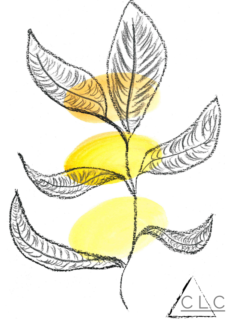 "Seedling" - Sold 115-106-seedling.png