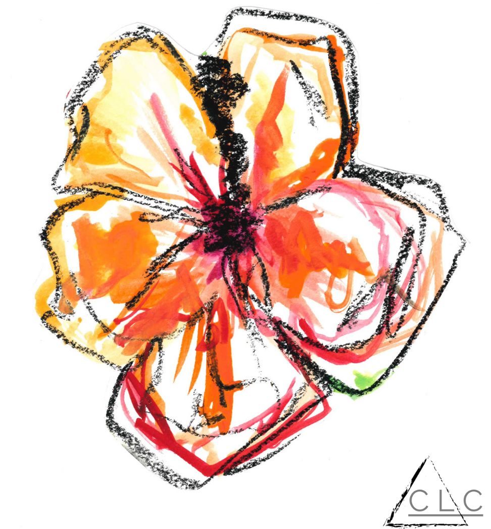 "Hibisicus" 115-125-hibiscus.png