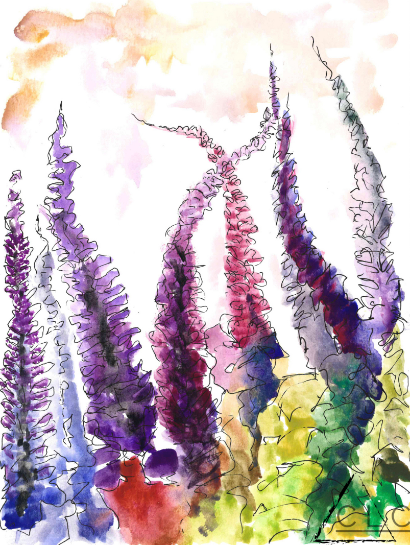 "Lavender Fields" 115-131-lavender-field.png