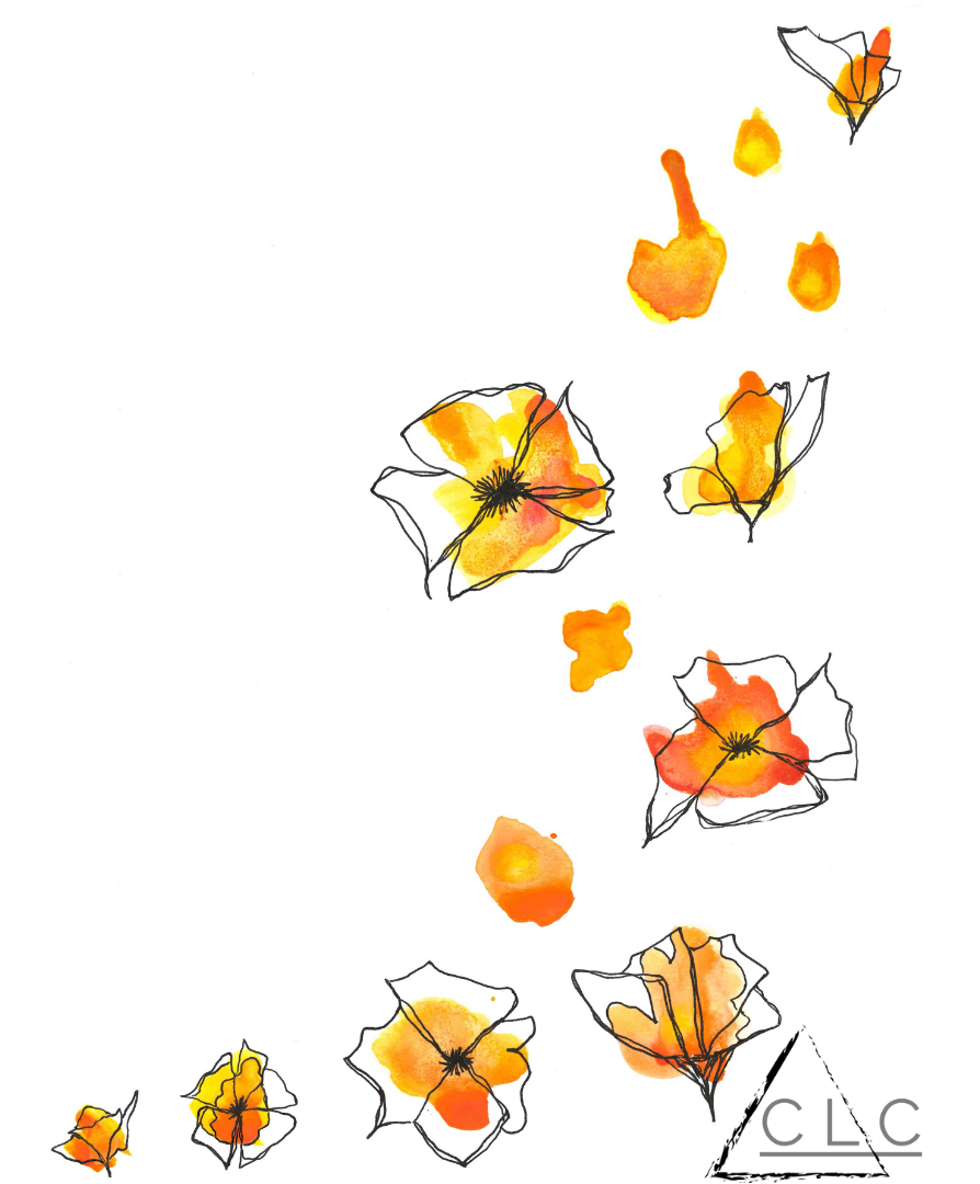 "Hawaii" - Donated 115-138-hawaii.png